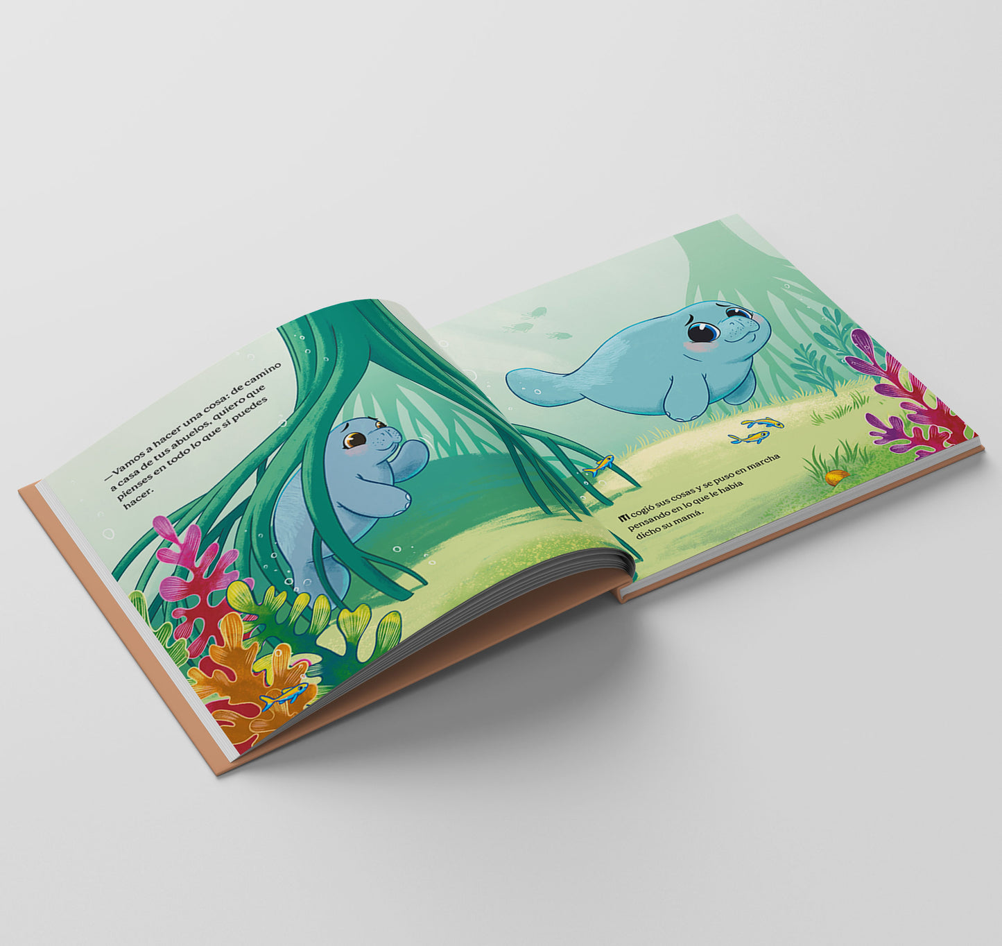 Pack 2 Cuentos Iti en Castellano - PREVENTA